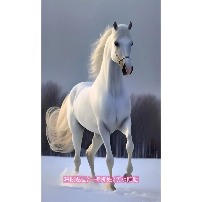 53)  160-80 см