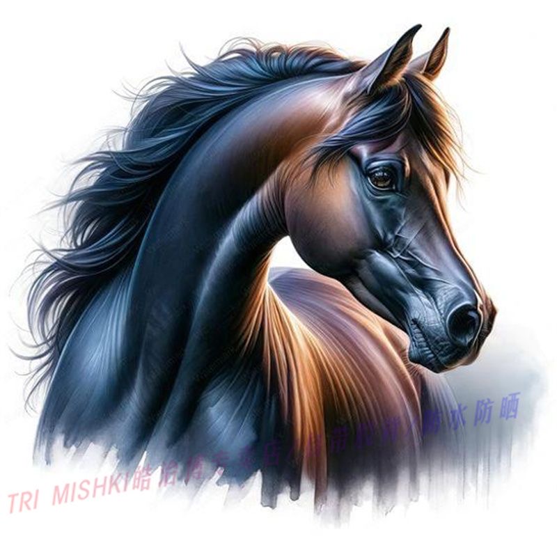 78) 100-70 см