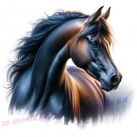 78) 100-70 см