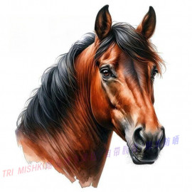 78) 100-70 см