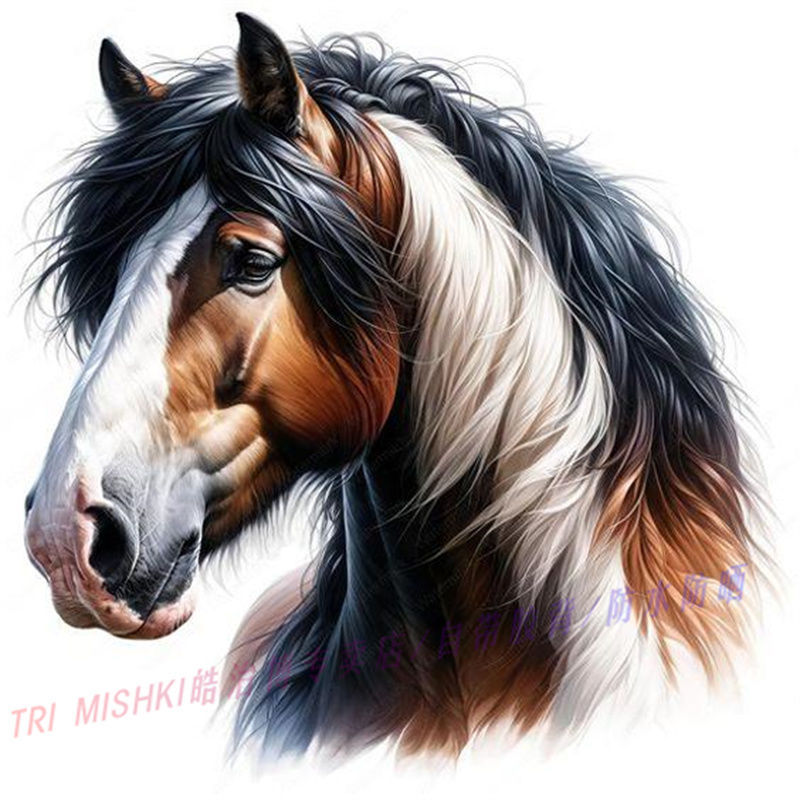 78) 100-70 см