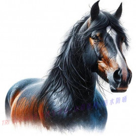 78) 100-70 см